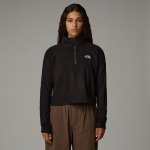 The North Face Sportovní mikina 100 Glacier Cropped 1/4 Zip NF0A855N4H01 černá – Hledejceny.cz