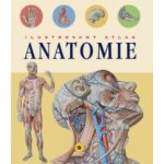 Anatomie Ilustrovaný atlas – Zbozi.Blesk.cz