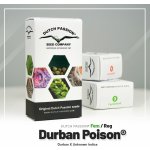 Dutch Passion Durban Poison semena neobsahují THC 10 ks – Hledejceny.cz