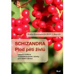 Schizandra Plod pěti živlů – Sleviste.cz