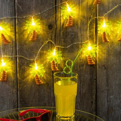 Haushalt international LED Světelný řetěz Palmy 670396 – Hledejceny.cz