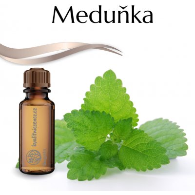 Slow-Natur Meduňka Vonný olej 10 ml – Hledejceny.cz