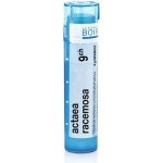 ACTAEA RACEMOSA POR 9CH GRA 1X4G – Hledejceny.cz