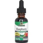 Natures Answer OSTRUŽINÍK MALINÍK 30 ml – Hledejceny.cz