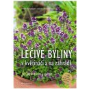 Léčivé byliny v květináči a na zahradě - Heide Bergmann