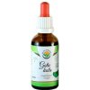 Doplněk stravy Salvia Paradise Gotu kola AF tinktura 50 ml