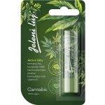 Regina Cannabis pomáda na rty jelení lůj 4,5 g – Hledejceny.cz