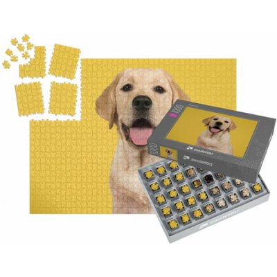 SMART SORTED® foto 1000 dílků – Zboží Dáma