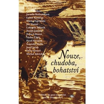 Nouze, chudoba, bohatství - Pavel Ambros