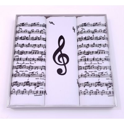 Etex pánské kapesníky Noty M59 – Zboží Mobilmania