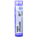 SEPIA OFFICINALIS POR 30CH GRA 4G – Hledejceny.cz