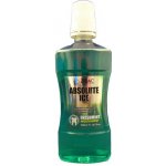 Zidac Absolute Ice Freshmint 500 ml – Zboží Mobilmania