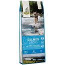 ISE River Junior Salmon with Berries Grain Free 12 kg