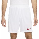 Nike TUR M NK DF STAD SHORT HM 2024