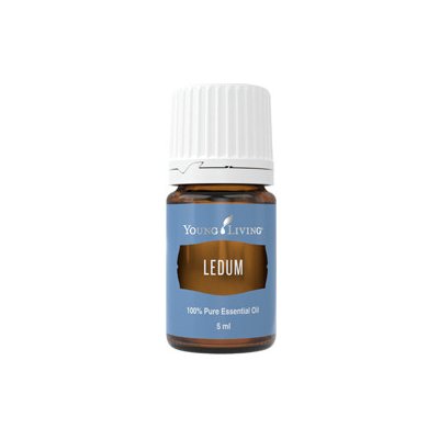 Young Living Rojovník (Ledum) esenciální olej 5 ml – Zboží Mobilmania