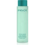Payot Pâte Grise Purifying Foaming Gel Cleanser 200 ml – Sleviste.cz