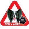 Autovýbava Grel nálepka na plech pozor pes v autě papillon černo-bilý