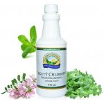 Nature's Sunshine Liquid Chlorophyll 476 ml Tekutý chlorofyl – Hledejceny.cz