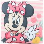 Jerry Fabrics Polštář Mickey a Minnie stripes 40x40 – Sleviste.cz