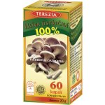 Terezia Company Hlíva Ústřičná 60 kapslí – Hledejceny.cz