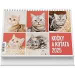 Stolní Kočky a koťata 22 × 14,8 cm 2025 – Zboží Mobilmania