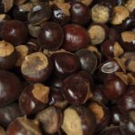 Salvia Paradise Guarana plod celý 50 g – Hledejceny.cz