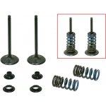PSYCHIC sací ventily (komplet 2 kusy. ventilů s pružinami a podložkami) HONDA CRF 250 R 04-07, CRF 250 X 04-17 ocel (MX-09526I) – Zboží Mobilmania