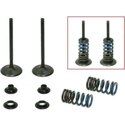 PSYCHIC sací ventily (komplet 2 kusy. ventilů s pružinami a podložkami) HONDA CRF 250 R 04-07, CRF 250 X 04-17 ocel (MX-09526I) – Zboží Mobilmania