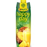 Rauch Happy Day ananas 100% 1 l – Hledejceny.cz