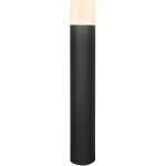 Candellux 51-32447 – Hledejceny.cz