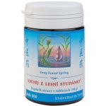 TCM Herbs Krůpěj z lesní studánky 100 tablet – Hledejceny.cz