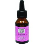 Sweet Home Orchidea e Vaniglia Orchidej a vanilka vonná esence 15 ml – Hledejceny.cz