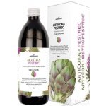 Nefdesanté Artičok a Pestrec šťáva 500 ml – Hledejceny.cz