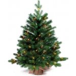 LAALU Vánoční stromek v květináči s LED osvětlením jedle BERNARD 60 cm – Zboží Dáma