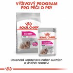 Royal Canin Mini Exigent 3 kg – Sleviste.cz