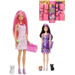 Mattel Barbie Salón pro zvířátka FBR36 – Hledejceny.cz