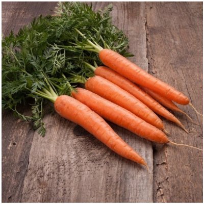 BIO Mrkev raná Touchon Daucus carota bio semena mrkve 200 ks – HobbyKompas.cz