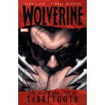 Wolverine: The Death And Life Of Sabretooth - Jeph Loeb – Sleviste.cz