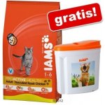 Iams Kitten & Junior All Breeds Chicken 2,6 kg – Hledejceny.cz