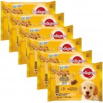 Pedigree Junior smíšený výběr v želé 6 x 4 x 100 g – Hledejceny.cz