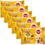 Pedigree Junior v želé 24 x 100 g – Hledejceny.cz