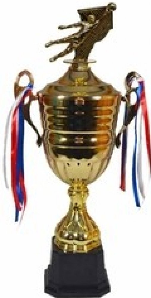 Fotbalový pohár III Mannheim 44 54 cm Výška 54 cm C | Srovnanicen.cz