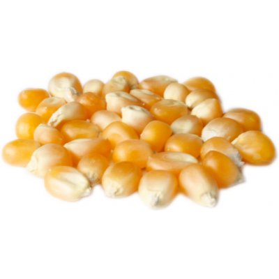 Profikoření - Kukuřice zrno na popcorn 5 Kg – Zboží Dáma
