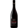 Víno Reisten Pinot noir Maidenburg 2022 13,5% 0,75 l (holá láhev)