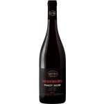 Reisten Pinot noir Maidenburg 2022 13,5% 0,75 l (holá láhev) – Hledejceny.cz