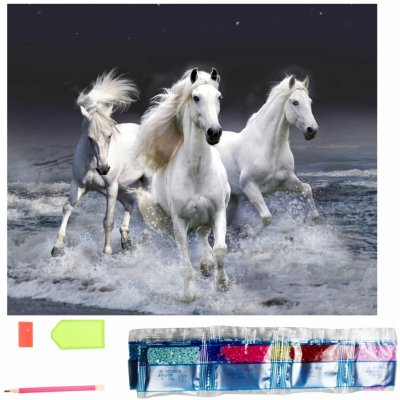 GFT Diamantové malování basic koníci 30 x 40 cm – Hledejceny.cz