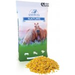 Energys CORNFLAKES 3 kg – Zboží Dáma