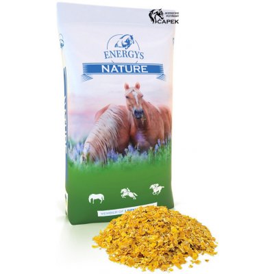 Energys CORNFLAKES 3 kg – Zboží Dáma