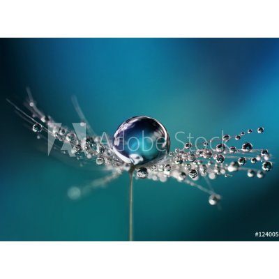 WEBLUX Fototapeta vliesová Beautiful dew drops on a dandelion seed macro. Beautiful soft light blue and violet background. Water drops on a parachutes dandelion on a beau 100 x 73 cm
