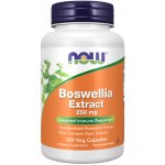Now Foods Boswellia Extrakt + Kurkuma 250 mg 120 kapslí – Hledejceny.cz